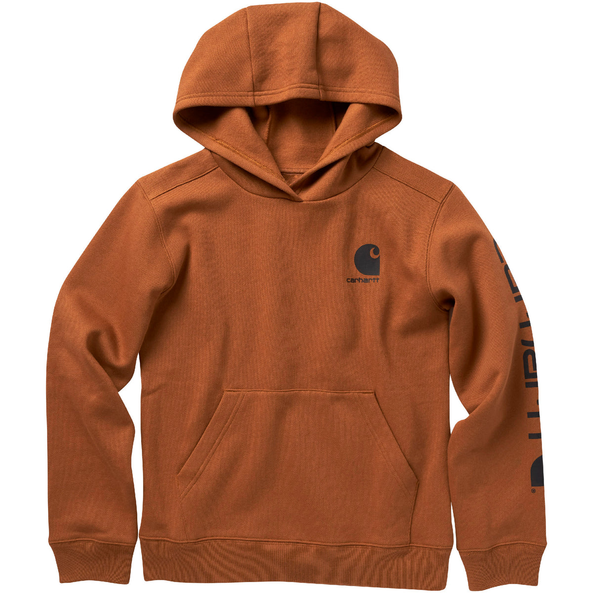 Kids Carhartt Long-Sleeve Graphic Sweatshirt (3 Color Options)